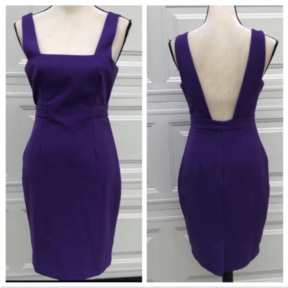 Elegant Purple Sleeveless Dress
